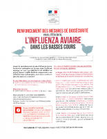 Dépliant Influenza Aviaire